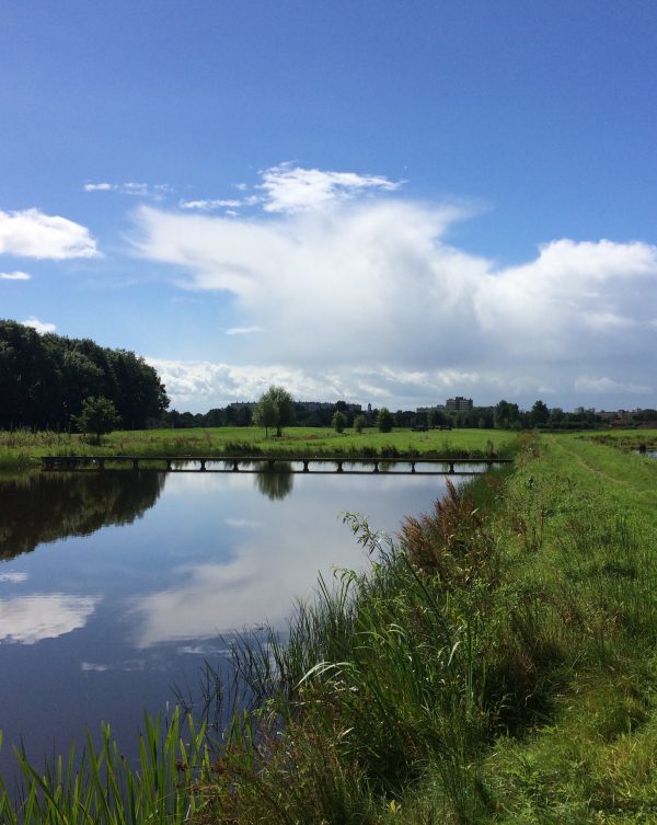 Welkom in Noorderpark-Ruigenhoek!